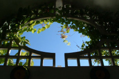 site-trellises-5