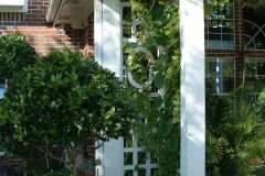 site-trellises-6