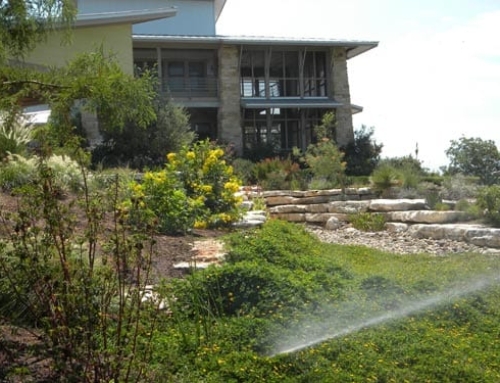 Fall Is Planting Time – Ready To Improve Your Landscaping?